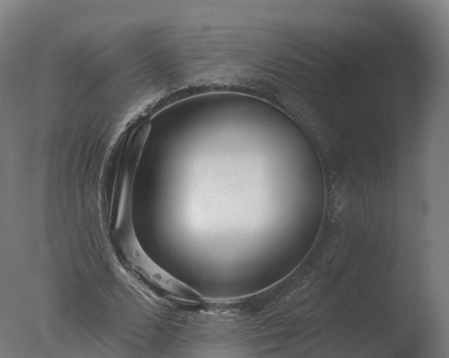 X0000077310680200610271644