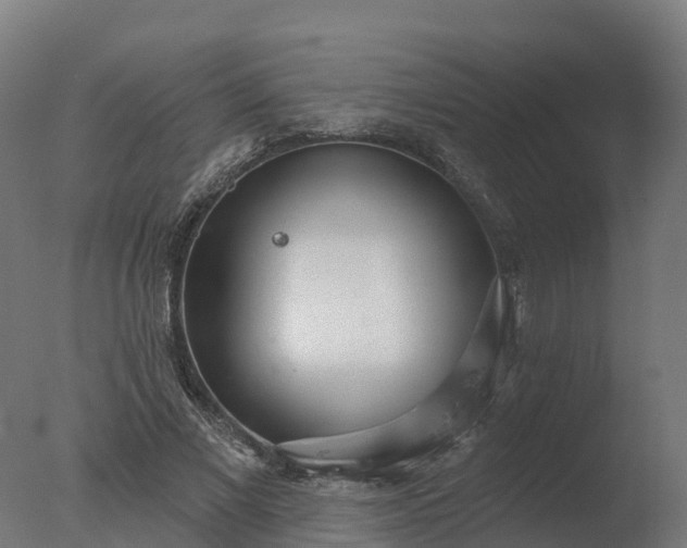 X0000077310685200610271644