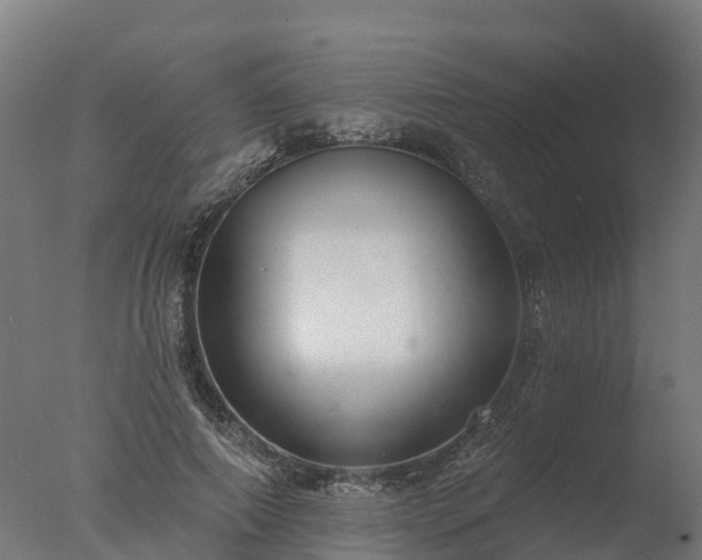 X0000077310690200610271644