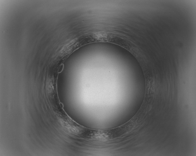 X0000077310702200610271644