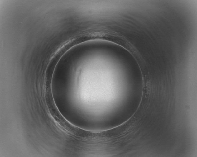 X0000077310722200610271643