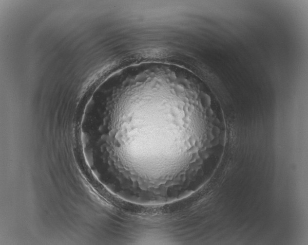 X0000077310725200610271643