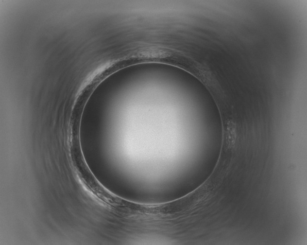 X0000077310726200610271643