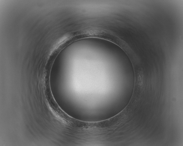 X0000077310730200610271643
