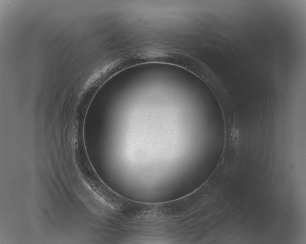 X0000077310732200610271643