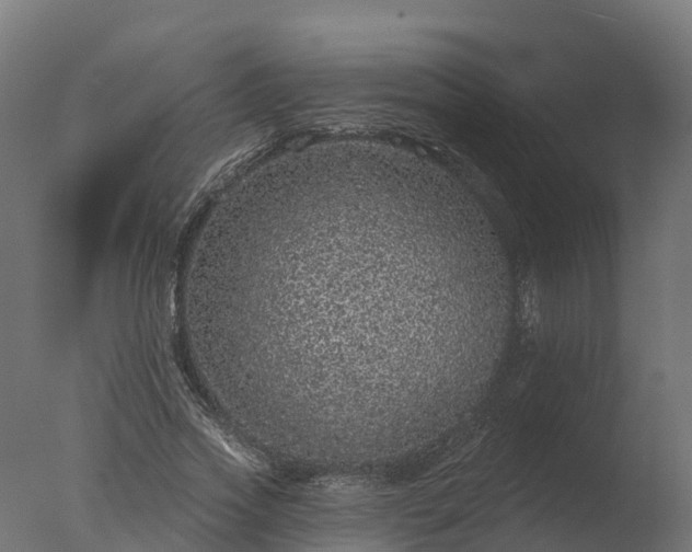 X0000077310733200610271643