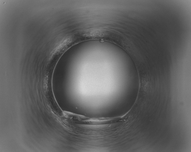 X0000077310735200610271643