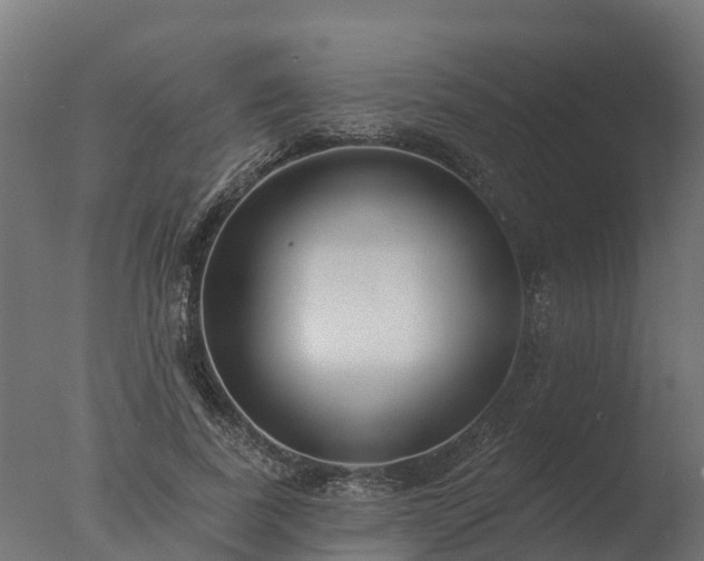 X0000077310739200610271643