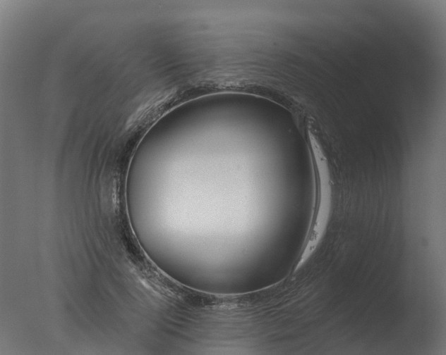 X0000077310740200610271643