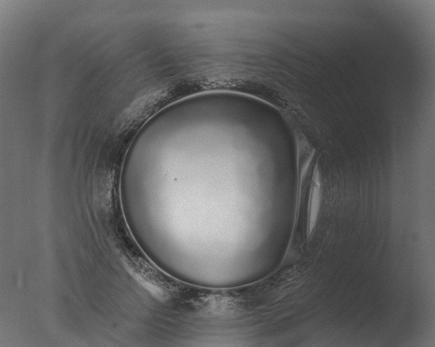 X0000077310742200610271643