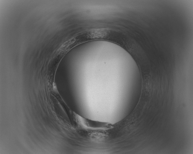 X0000077310743200610271643