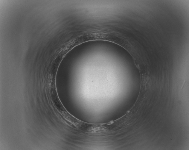 X0000077310752200610271643