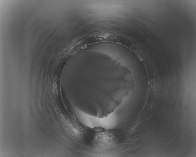 X0000077310754200610271643