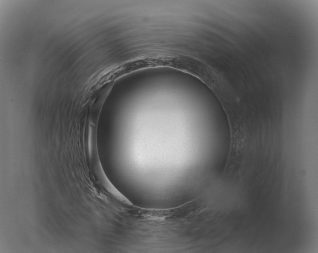 X0000077310773200610271643