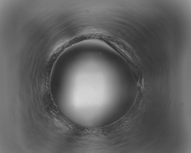 X0000077310775200610271642