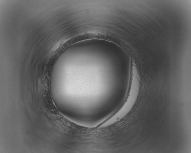 X0000077310776200610271642