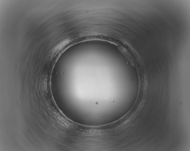 X0000077310777200610271642