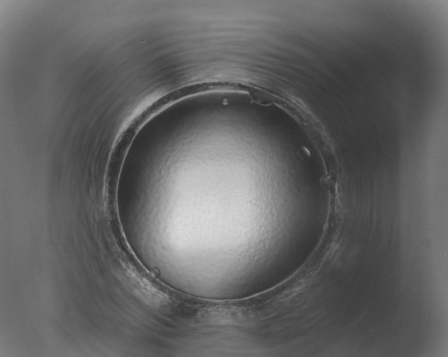 X0000077310780200610271642