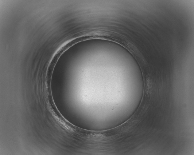 X0000077310784200610271642