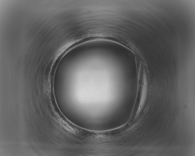 X0000077310787200610271642