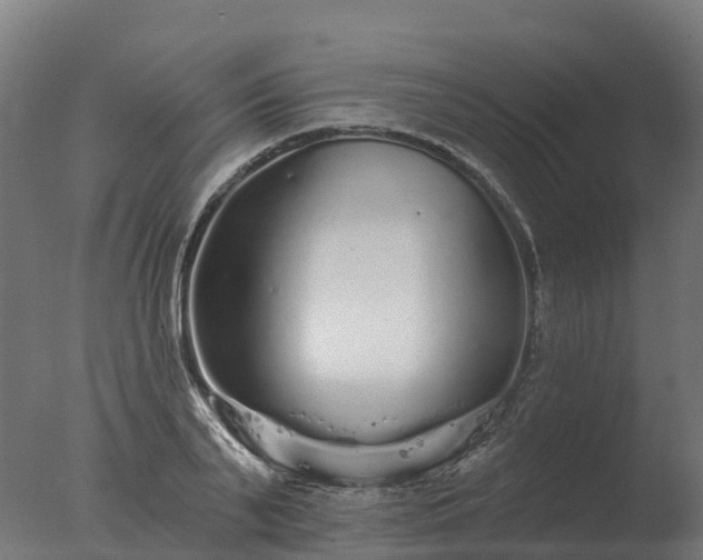 X0000077310791200610271642