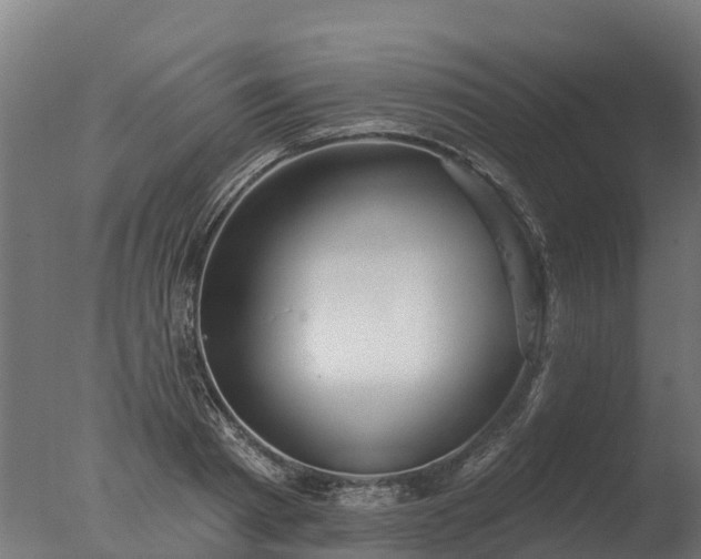 X0000077310793200610271642