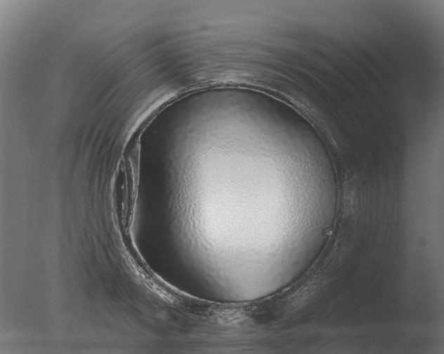 X0000077310798200610271642
