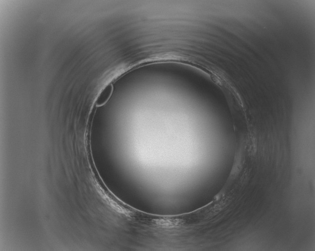 X0000077310805200610271642