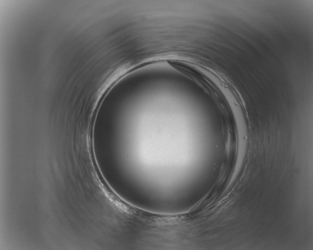 X0000077310813200610271642