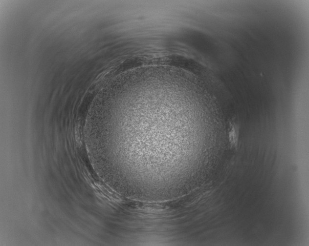 X0000077310819200610271641