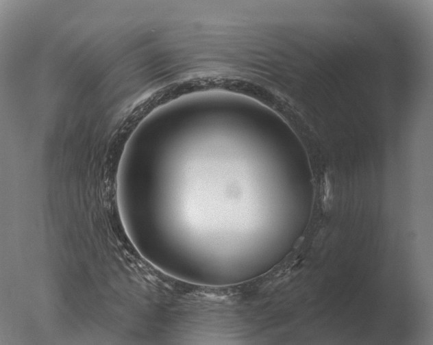 X0000077310822200610271641