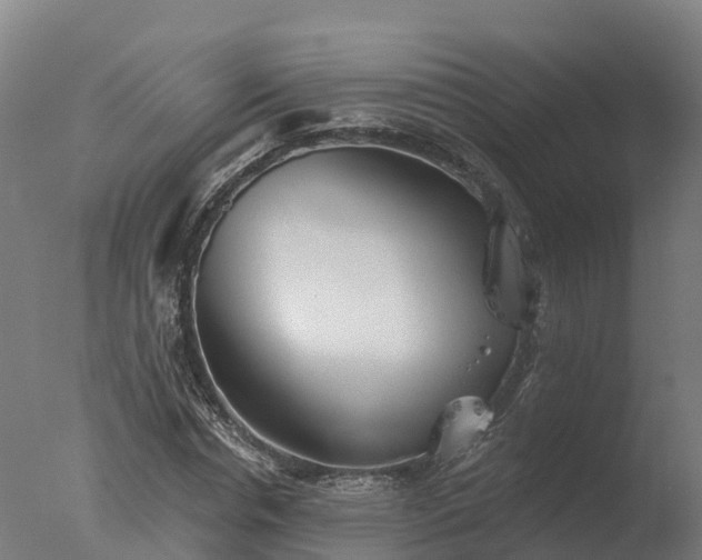 X0000077310826200610271641
