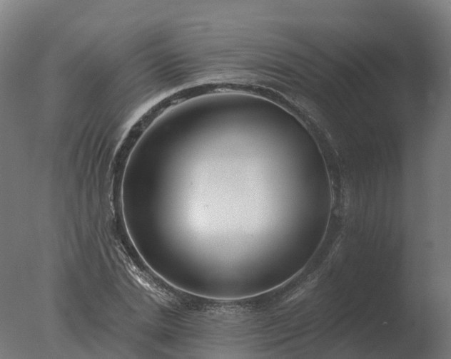 X0000077310830200610271641