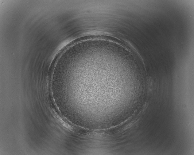 X0000077310831200610271641