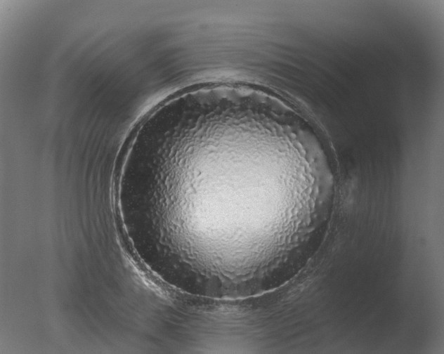 X0000077310839200610271641