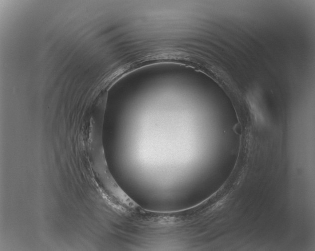 X0000077310841200610271641