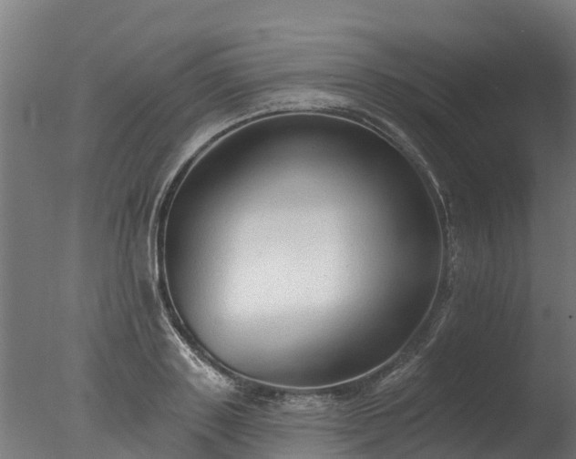 X0000077310843200610271641