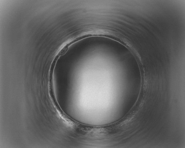 X0000077310845200610271641