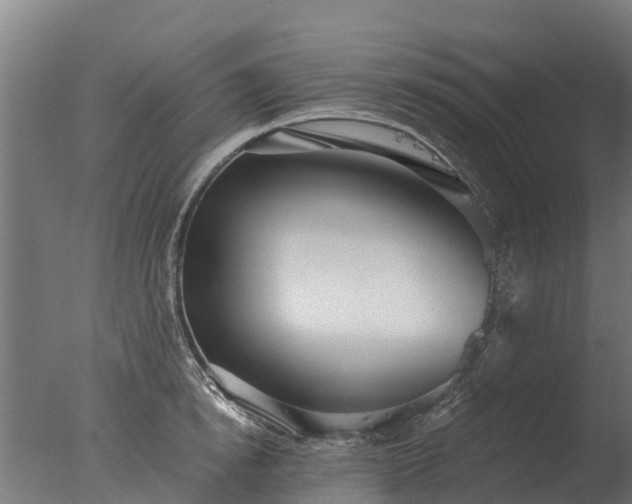 X0000077310854200610271642