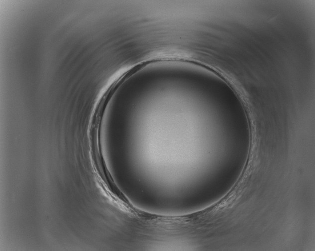 X0000077310864200610271642