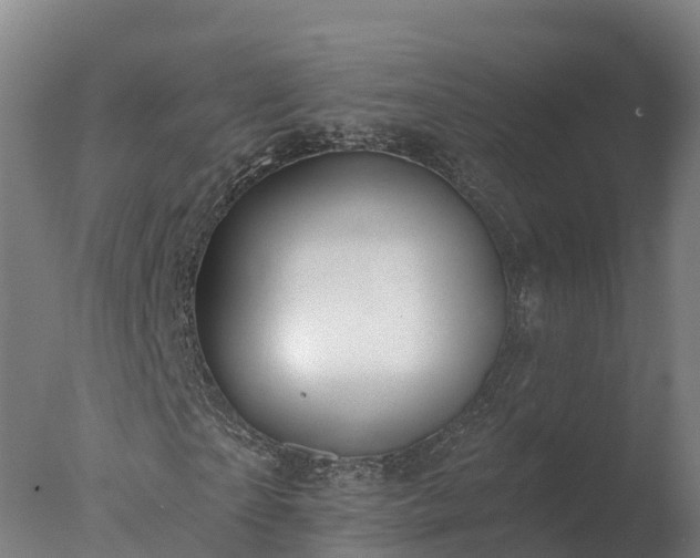 X0000077310865200610271641