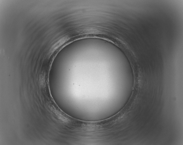 X0000077310873200610271641