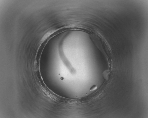 X0000077310876200610271641