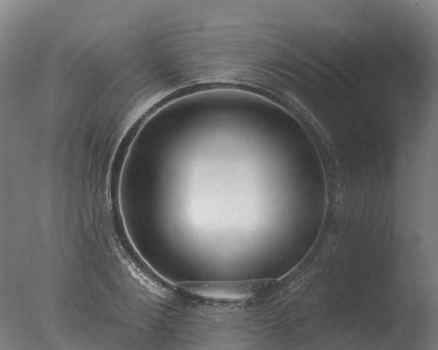 X0000077310884200610271641
