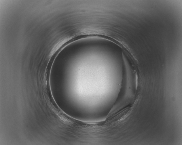 X0000077310885200610271641
