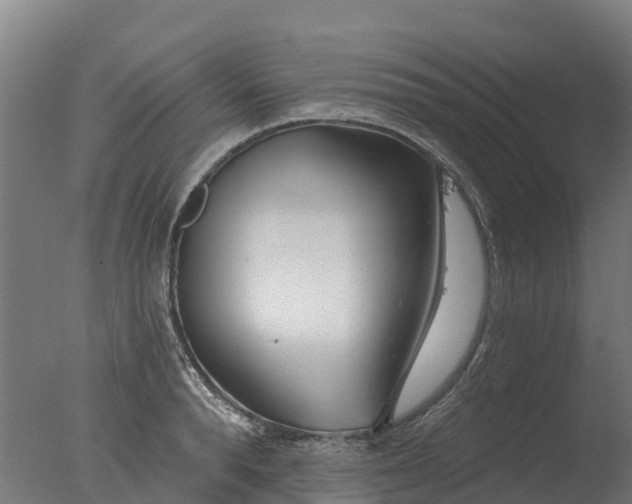 X0000077310896200610271640