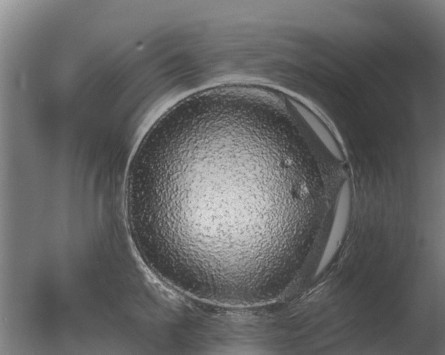 X0000077310911200610271640