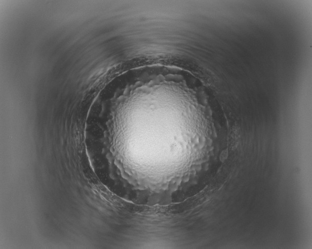 X0000077310917200610271639