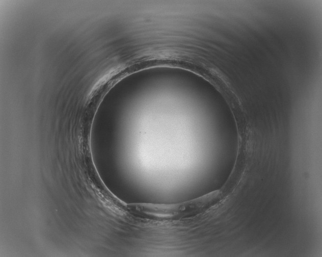 X0000077310922200610271639
