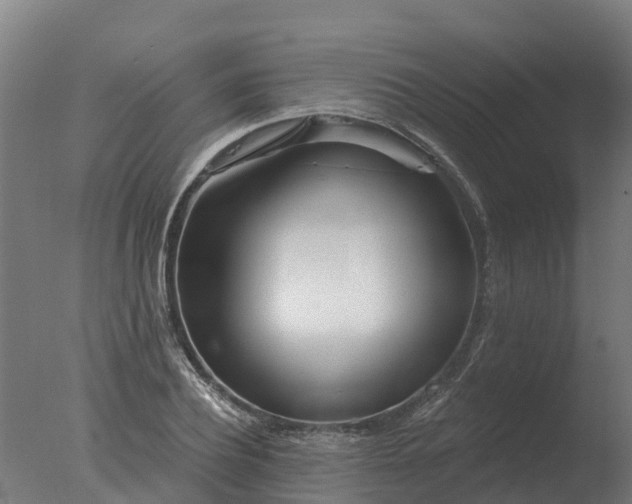 X0000077310932200610271640